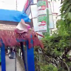 Auto Rickshaw (Feni Tour) ASMR