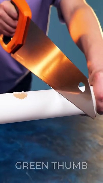 DIY Budget-Friendly Hydroponic System at Home ☘ #shorts #planting #garden #diy #hydroponic