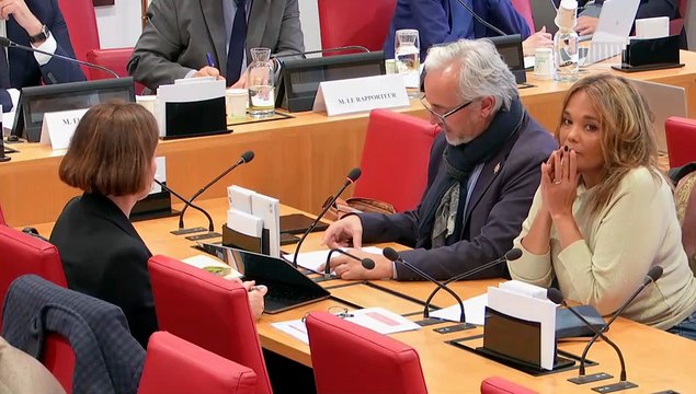 Commission des lois : Renouvellement général des membres du congrès et des assemblées de province de la Nouvelle-Calédonie - Lundi 20 octobre 2025