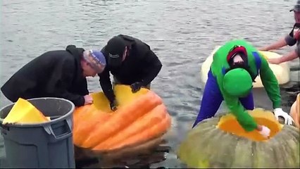 EUA: regata de abóboras gigantes faz sensação no Oregon