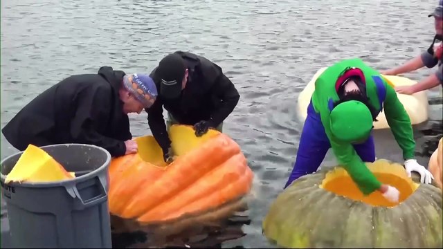 سباق قوارب مصنوعة من يقطين عملاق يثير ضجة في أوريغون