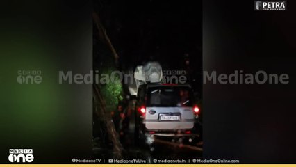 കബാലിയെ ഹോണ്‍ അടിച്ച് പ്രകോപിപ്പിച്ച യാത്രക്കാര്‍ക്കെതിരെ വനം വകുപ്പ് കേസെടുക്കും