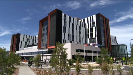 Former South Australia MP Troy Bell jailed for five years for stealing $4300,000