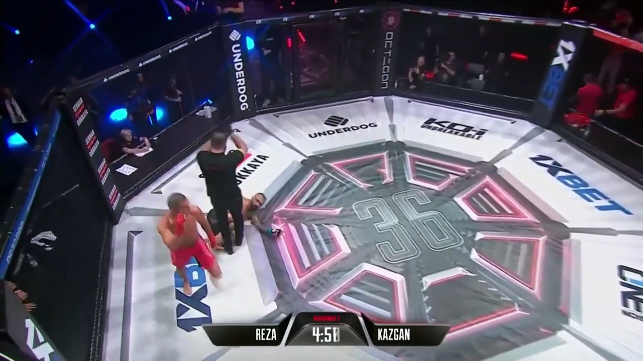 MMA Knockouts Part 46  Brutal Finishes & Explosive Power 2025