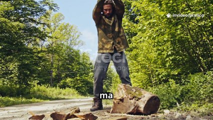 Scopri il Legno di Olmo_ Caratteristiche