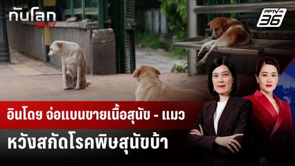 อินโดฯ จ่อแบนขายเนื้อสุนัข - แมว หวังสกัดโรคพิษสุนัขบ้า | ทันโลก DAILY | 21 ต.ค. 68