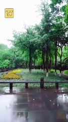 The Omniscient Little One Full Movies English Sub