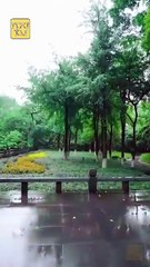 The Omniscient Little One Full Movies English Sub