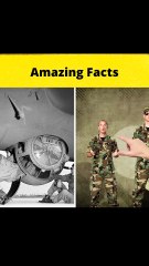 Top 3 jobs in world war 2😮😮😮 MRINDIANHACKER  CrazyXYZ   #shorts  #FactBeast901 - Fact Beast901