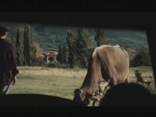 Espagnolas en Passy : Ficció