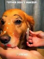 amazing video #virl #short