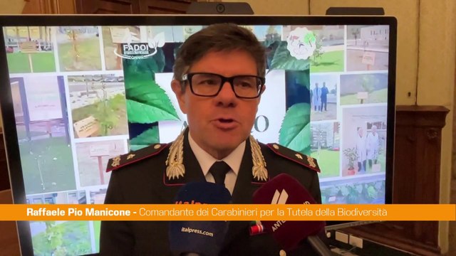 Manicone La conservazione della natura legata alla salute dell'uomo