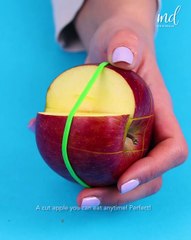 Check out these food preserving hacks!