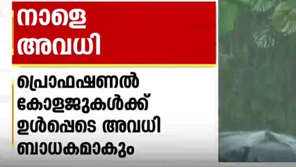 ശക്തമായ മഴ; ഇടുക്കിയിൽ നാളെ വി​ദ്യാഭ്യാസ സ്ഥാപനങ്ങൾക്ക് അവ​ധി | Idukki | Red Alert