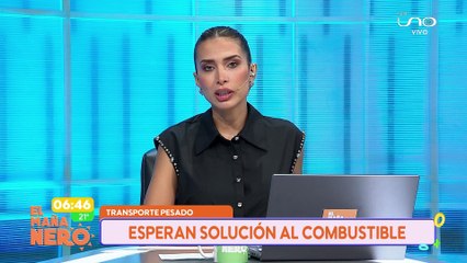 TRANSPORTE PESADO PIDE UNA SOLUCIÓN ANTE LA FALTA DEL COMBUSTIBLE