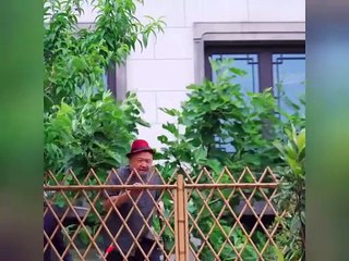 CEO Is Infertile With Any Girl,But The Poor Girl Birth Triplets After 1 Night,Now He Dote On Her! - English Sub