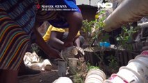 Nubian women in Kenya revive tradition through urban farming