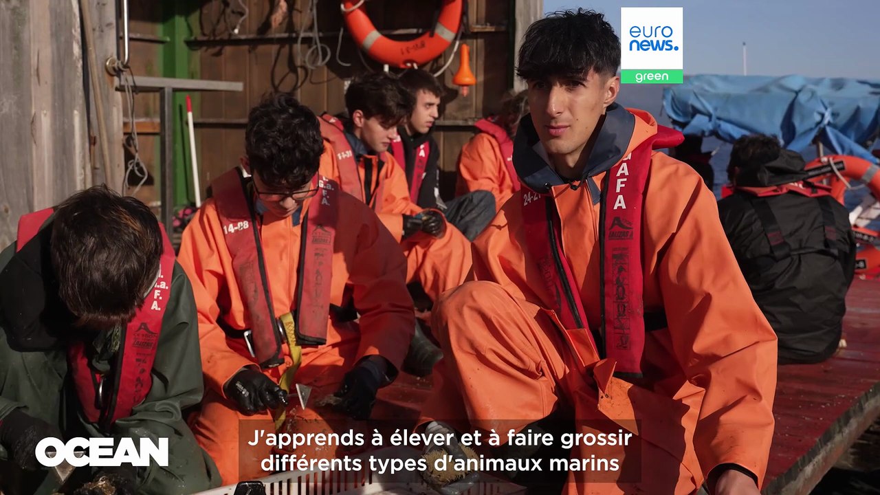 Fermes mytilicoles espagnoles, décideurs de l'UE : suivre les données de l'économie bleue en Europe