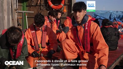 Fermes mytilicoles espagnoles, décideurs de l'UE : suivre les données de l'économie bleue en Europe