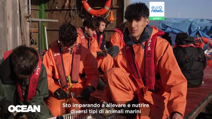 Dalla mitilicoltura spagnola ai responsabili politici dell'UE: i dati dell'economia blu europea