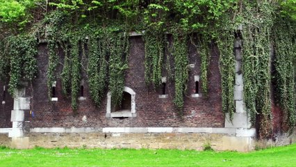 1914 Invasion of Belgium (History Channel Documentary)