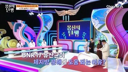 BNR17 유산균으로 당독소 타파! 체지방 & 지방 감소에도 도움을 준다!
