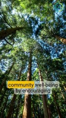 What Makes Green Spaces Effective for Community Wellbeing