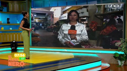 SUBE EL PRECIO DE LAS FLORES POR TODOS SANTOS