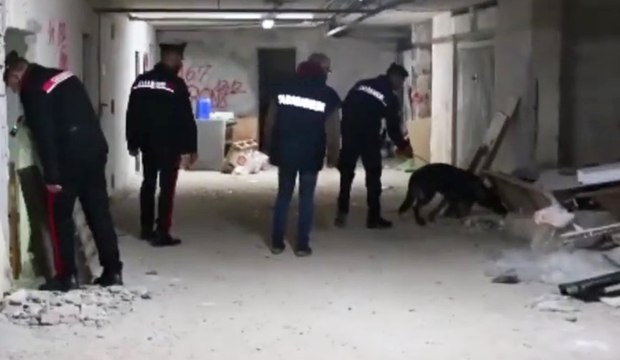 Salento, blitz antidroga: due reti dello spaccio smantellate tra Nardò e Gallipoli (21.10.25)