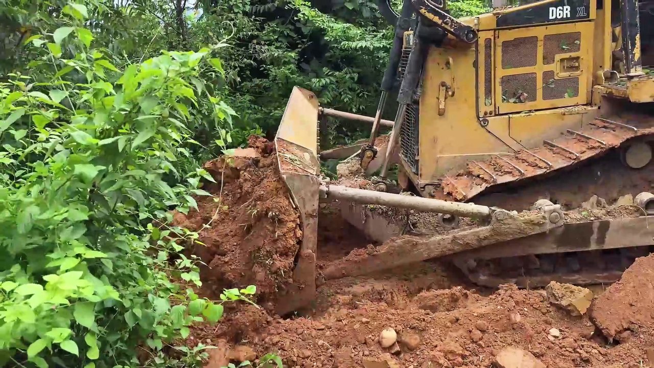 Bulldozer D6R XL The Best Heavy Equipment for Plantation Road Maintenance