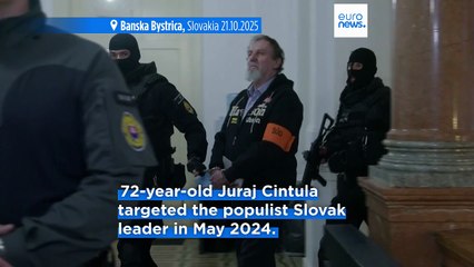 Would-be assassin given 21-year sentence for shooting Slovak PM Robert Fico