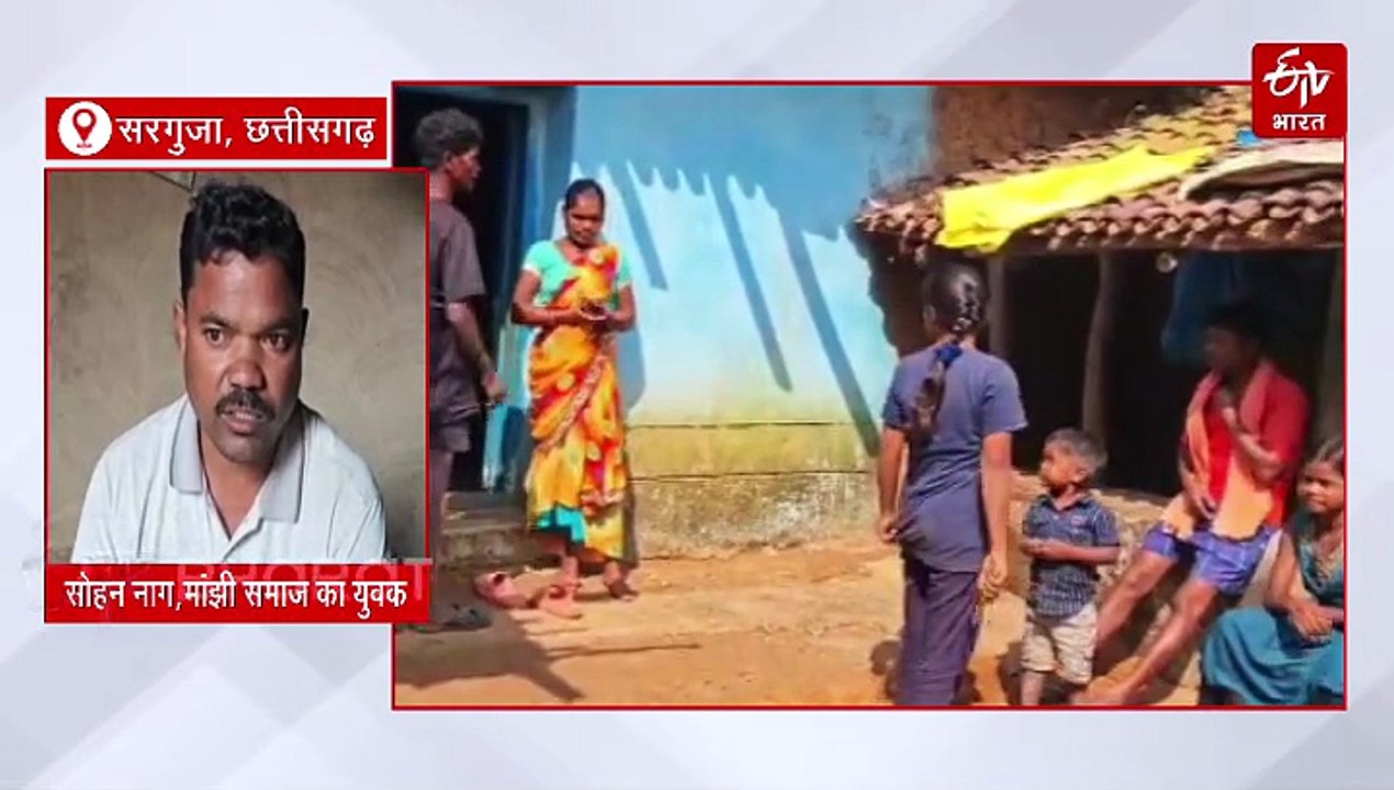 दिवाली पर मांझी आदिवासी गाय बैलों को पिलाते हैं शराब, सालों से चली आ रही अनोखी परंपरा