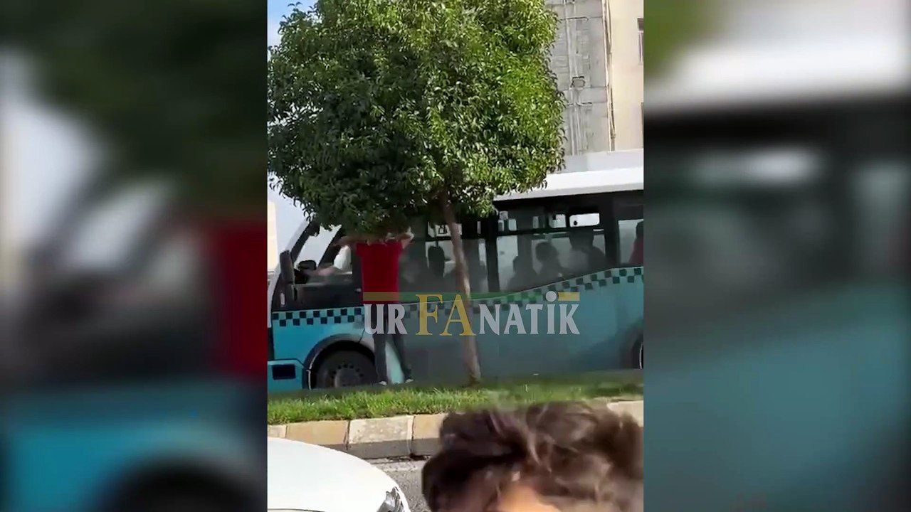 Şanlıurfa’da Komşular Arasında Taşlı Sopalı Kavga: Çok Sayıda Yaralı