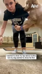 I wanted to show my tap dance routine but my dog wanted to show his first