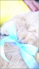 Marta Castro y Rodri Fuertes revelan el sexo de su primer bebé en común: "Te estamos esperando"