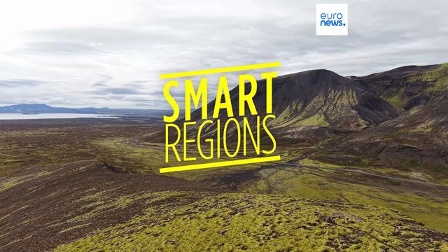 Aveia nórdica, uma cultura órfã que volta a criar raízes