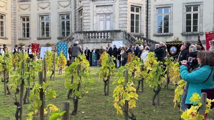 Boën-sur-Lignon inaugure la Route des vins Forez-Roannais en Loire Volcanique