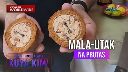 Prutas na kahawig ng utak, ginagamit bilang pampalasa sa ilang ulam! | Dami Mong Alam, Kuya Kim!