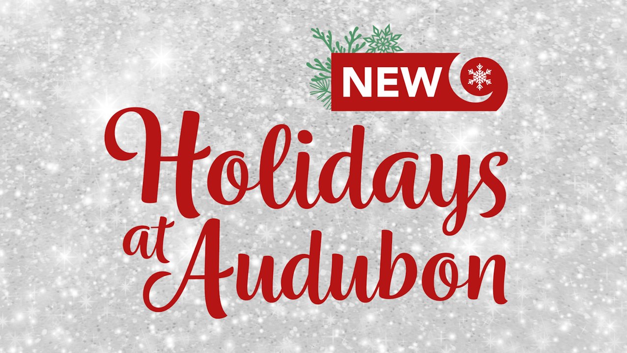 Holidays at Audubon