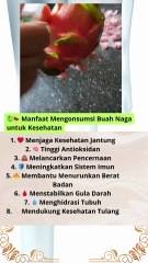 🐉🍉 Manfaat Mengonsumsi Buah Naga untuk Kesehatan
