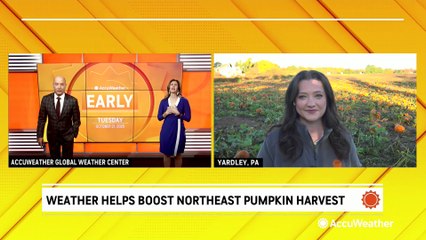 Weather helps boost pumpkin harvest