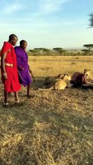 Maasai Tribe Hunting Style | Today's Trending Video