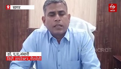 मध्य प्रदेश के सबसे बडे टाइगर रिजर्व में ऑनलाइन बुकिंग शुरू, आसानी से होंगे बाघ के दीदार