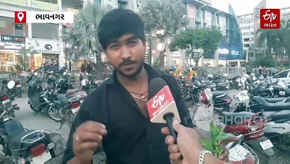 બામ્બુ પ્લાન્ટ માનવામાં આવે છે શુભ, જાણો શું છે ભાવનગરના રસ્તાઓ પર વેચાતા બામ્બુ પ્લાન્ટના ભાવ ?