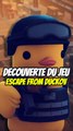 Découverte petit jeu, Escape From Duckov !