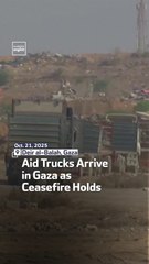 Aid Trucks Arrive In Gaza As Ceasefire Holds