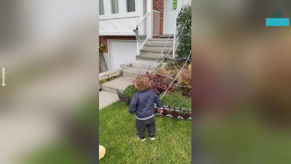 Toddler Mistakes Halloween Decoration for Mama