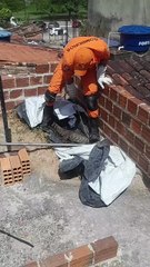 Jacaré é resgatado por bombeiros em laje de residência, em Arapiraca