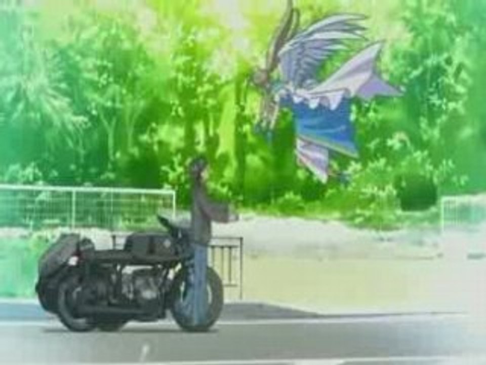 manga-Sally bas des ailes