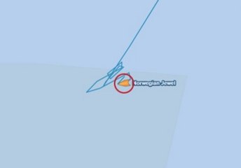 Norwegian Jewel passenger overboard